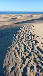 GC-Dunas de Maspalomas sunset 2026-038.jpg